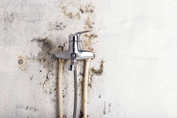 Home Mold Removal in Germantown, WI