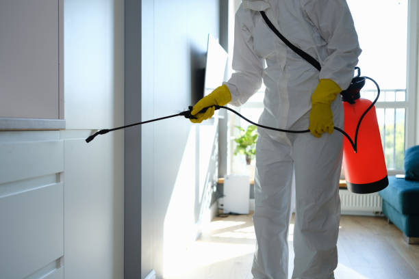 Professional Mold Removal in Germantown, WI