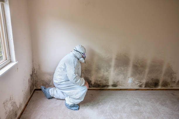 Best Crawl Space Mold Removal  in Germantown, WI